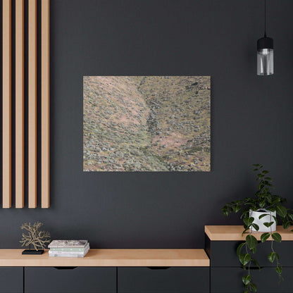 Desert Hillside - Unique Frameless Canvas Wall Art - Art By Earth
