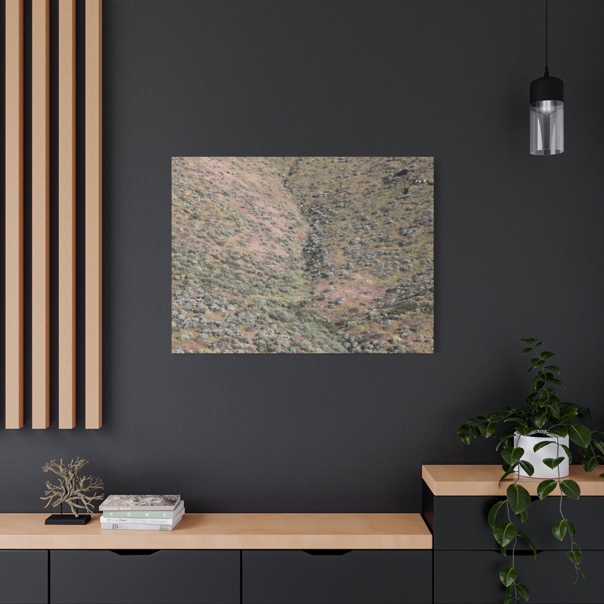 Desert Hillside - Unique Frameless Canvas Wall Art - Art By Earth