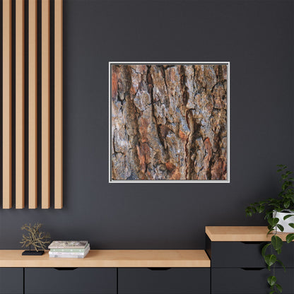 Craggy Textures - Unique Stretched Canvas Wall Art - Art By Earth