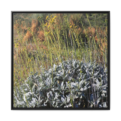 Arid Landscape with Yellow Flowers - Unique Stretched Canvas Wall Art - Art By Earth