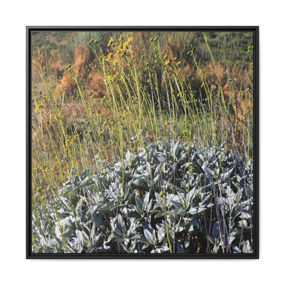 Arid Landscape with Yellow Flowers - Unique Stretched Canvas Wall Art - Art By Earth