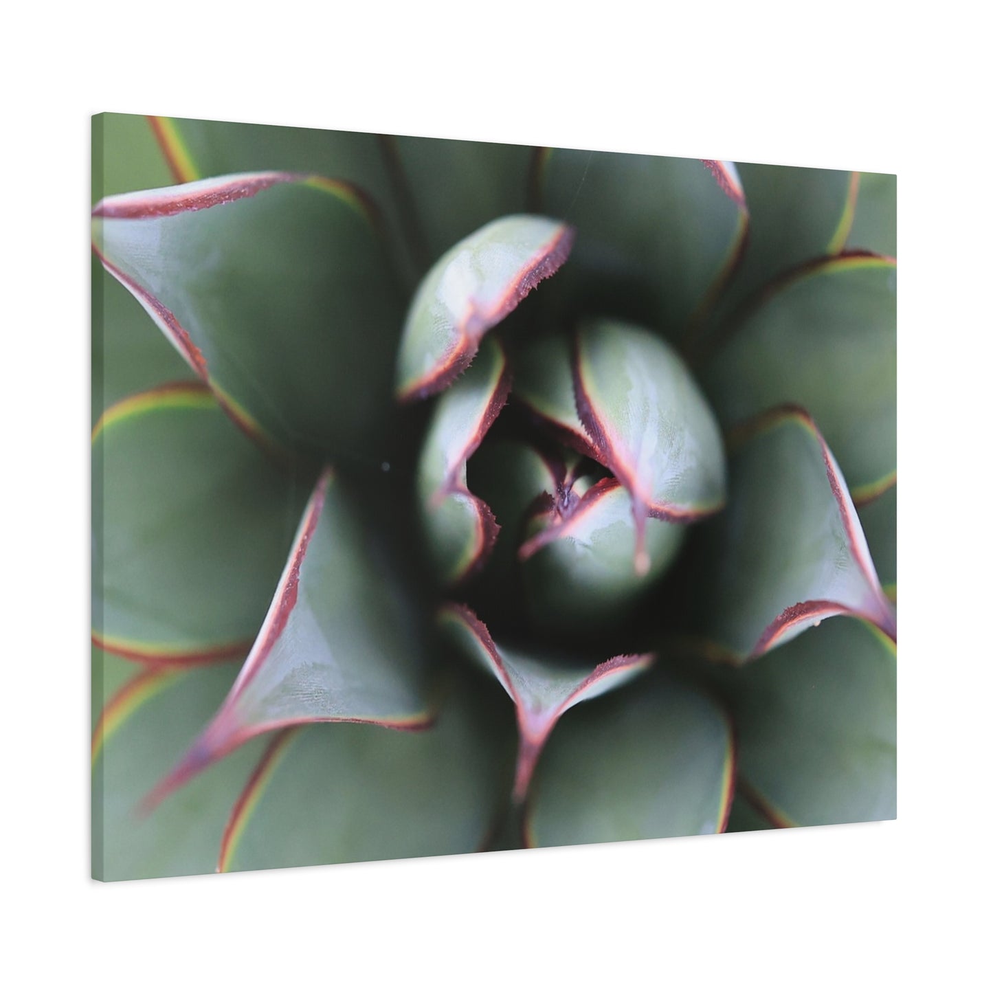 Emerald Spiral - Unique Frameless Canvas Wall Art - Art By Earth