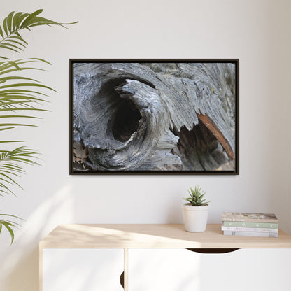 Bark's Labyrinth - Unique Stretched Canvas Wall Art - Art By Earth