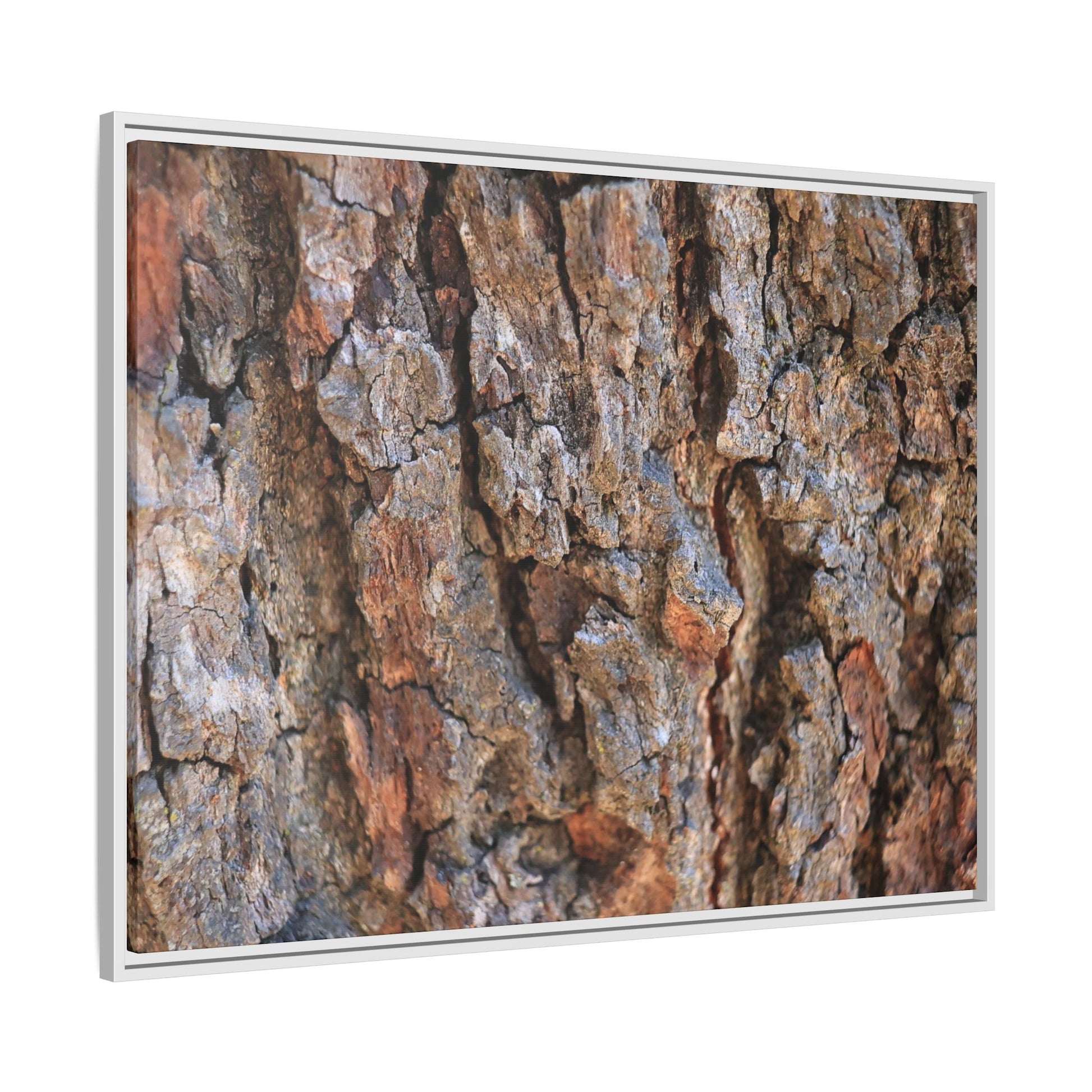 Craggy Textures - Unique Stretched Canvas Wall Art - Art By Earth