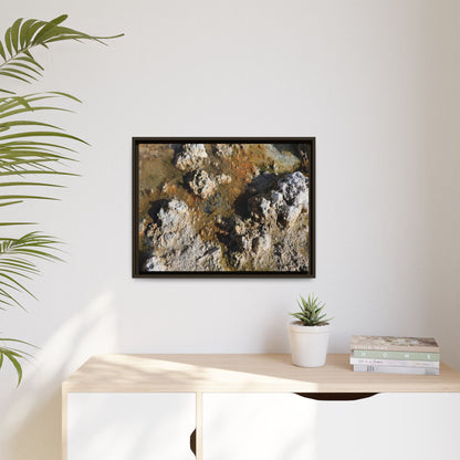 Textural Metamorphosis - Unique Stretched Canvas Wall Art