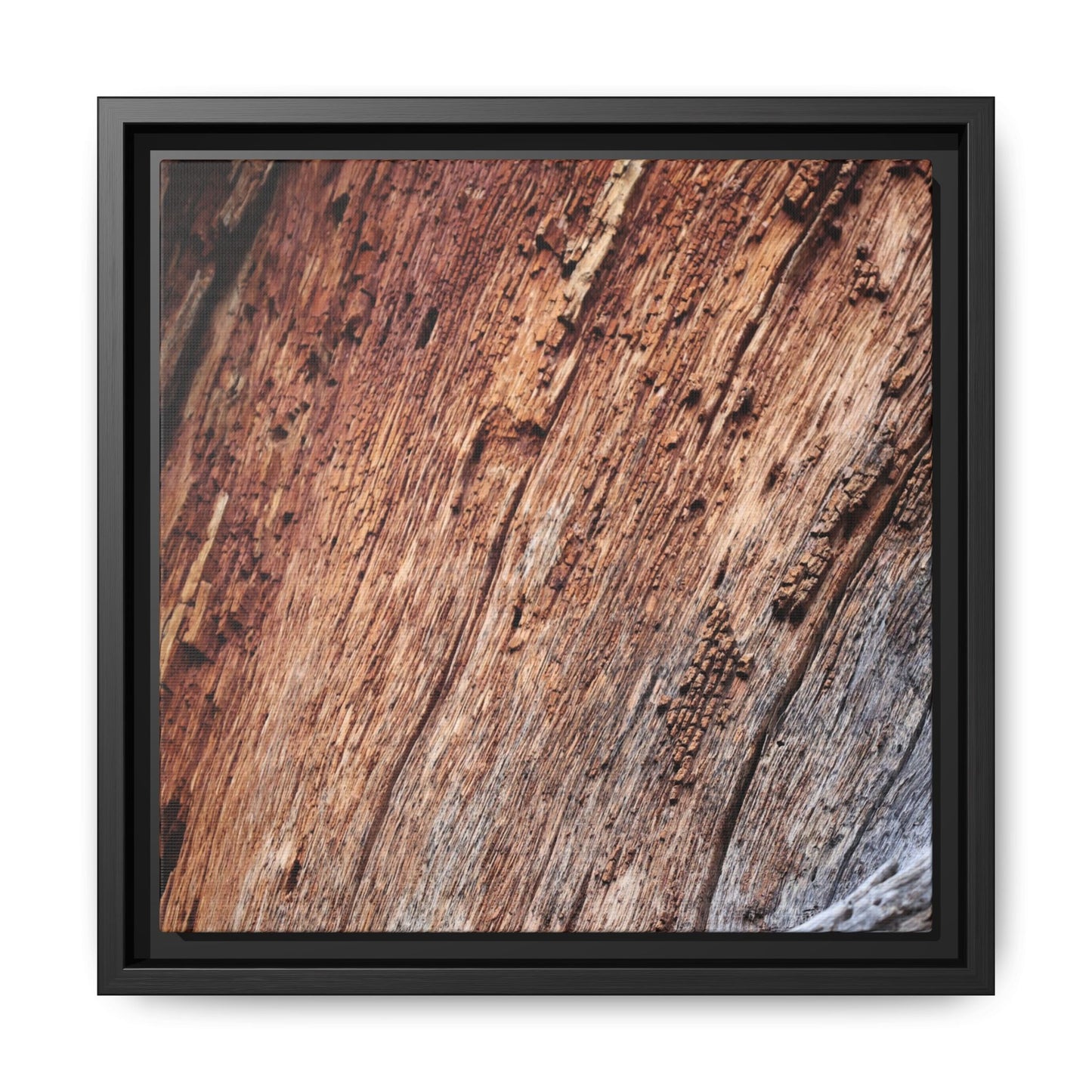 Time's Mark - Unique Stretched Canvas Wall Art - Art By Earth