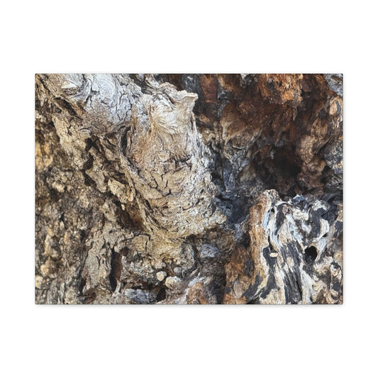 Weathered Bark Texture - Unique Frameless Canvas Wall Art - Art By Earth