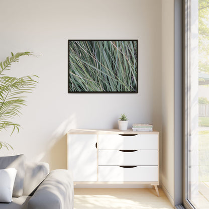 Grassland Symphony - Unique Stretched Canvas Wall Art - Art By Earth
