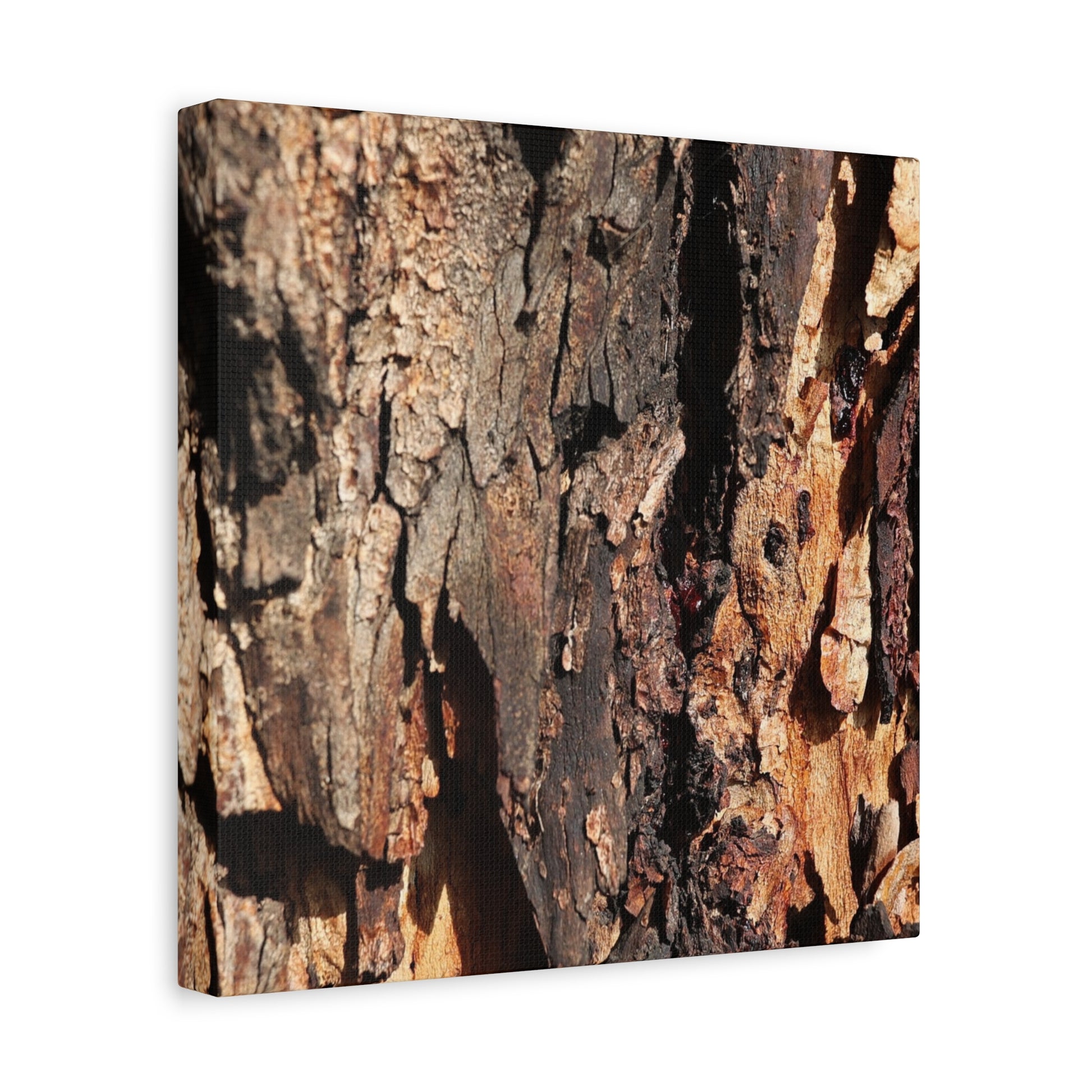 Wooden Terrain - Unique Frameless Canvas Wall Art - Art By Earth