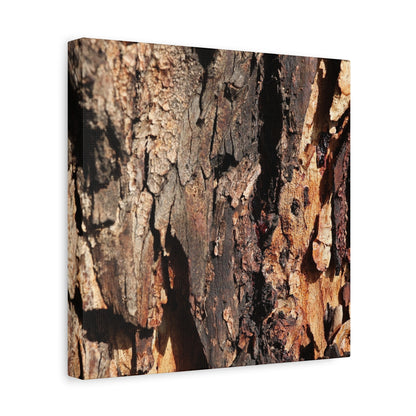 Wooden Terrain - Unique Frameless Canvas Wall Art - Art By Earth