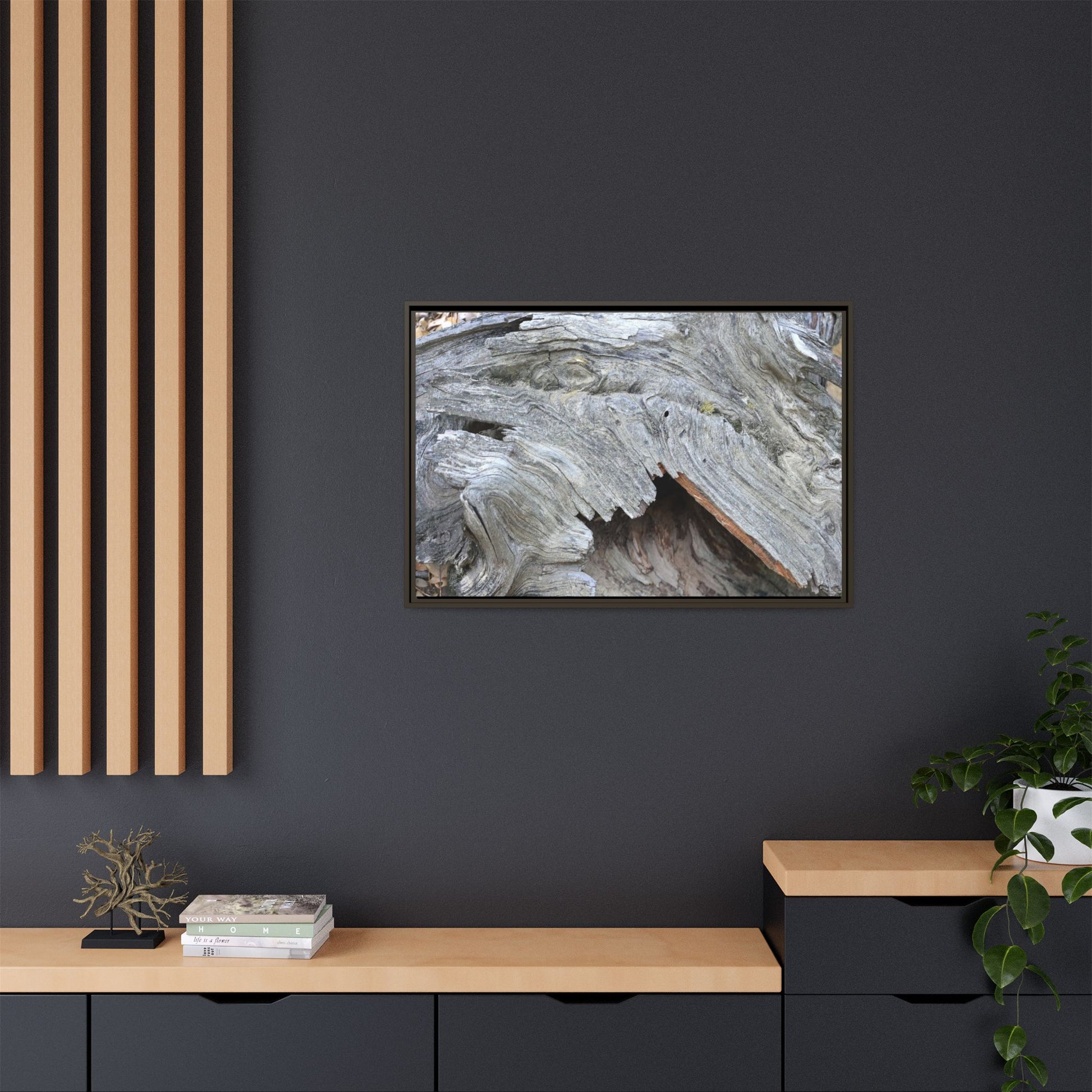 Driftwood Dreams - Unique Stretched Canvas Wall Art - Art By Earth