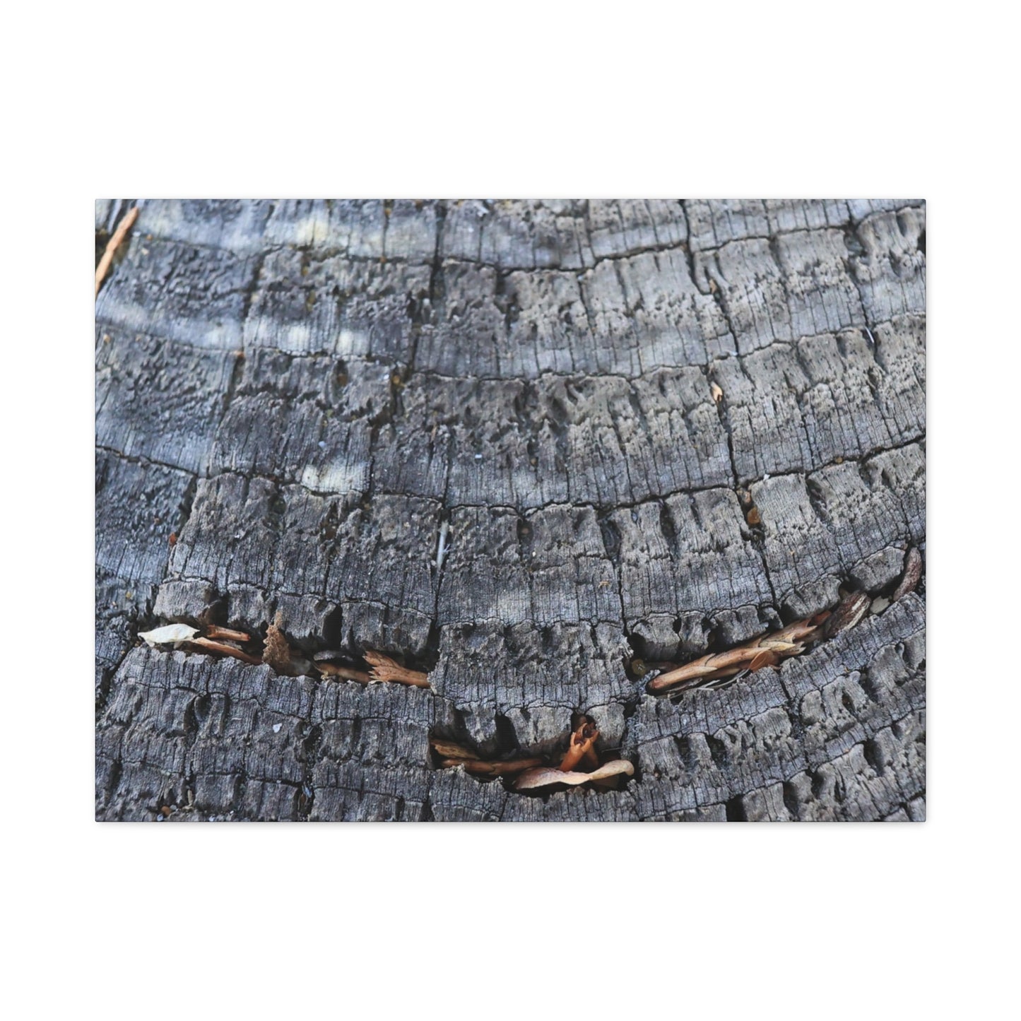 Time's Fractal Whispers - Unique Frameless Canvas Wall Art - Art By Earth