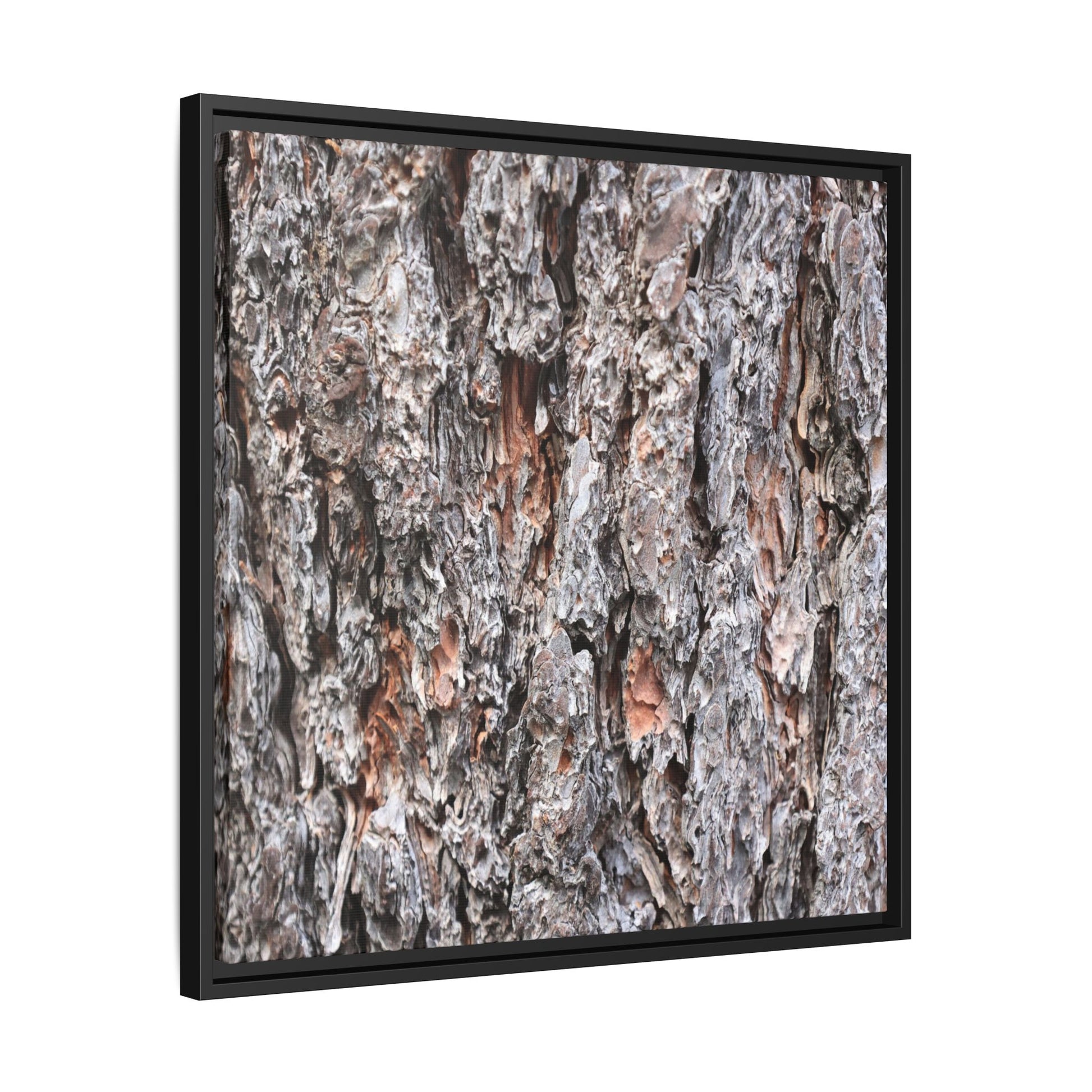 Rugged Cortex - Unique Stretched Canvas Wall Art - Art By Earth