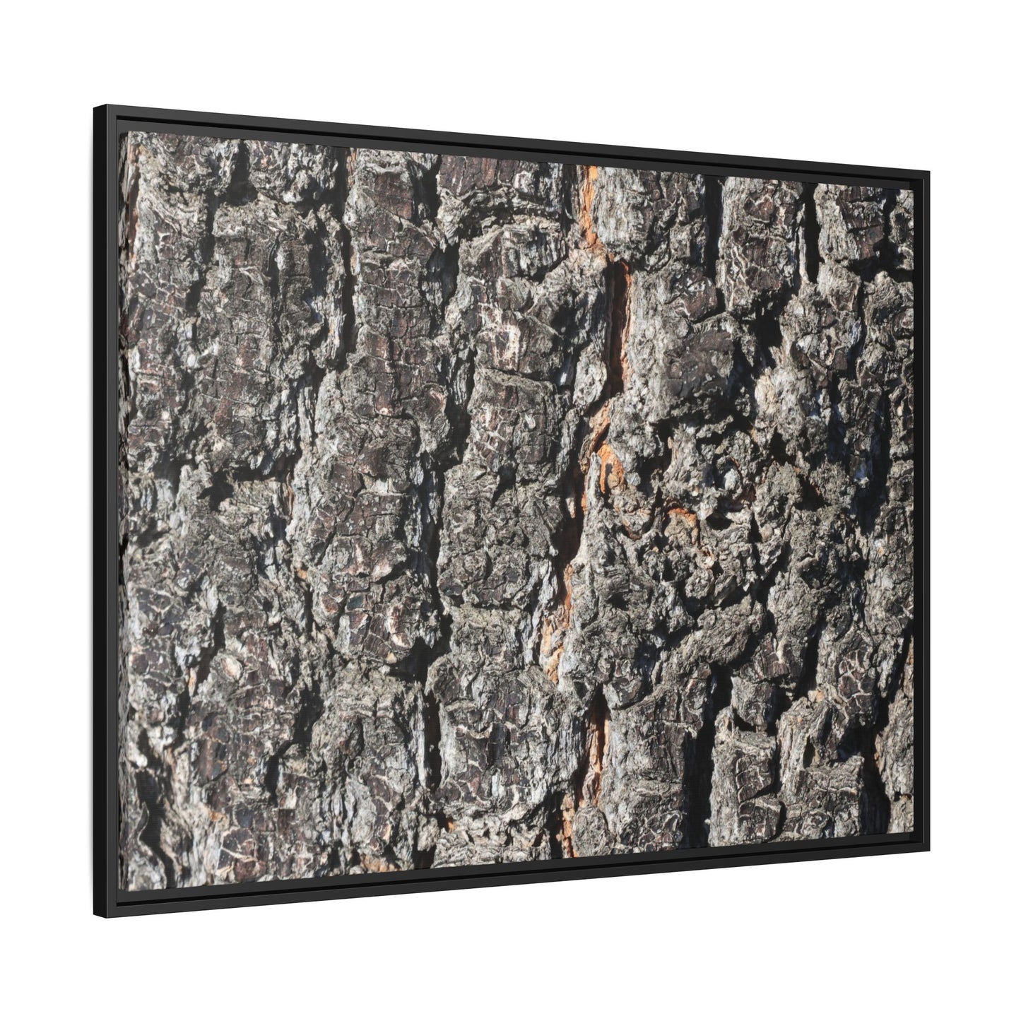 Aged Beauty - Unique Stretched Canvas Wall Art - Art By Earth