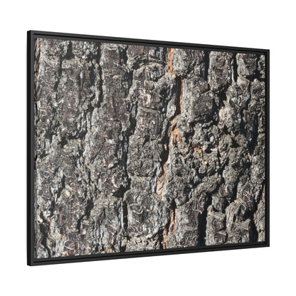 Aged Beauty - Unique Stretched Canvas Wall Art - Art By Earth