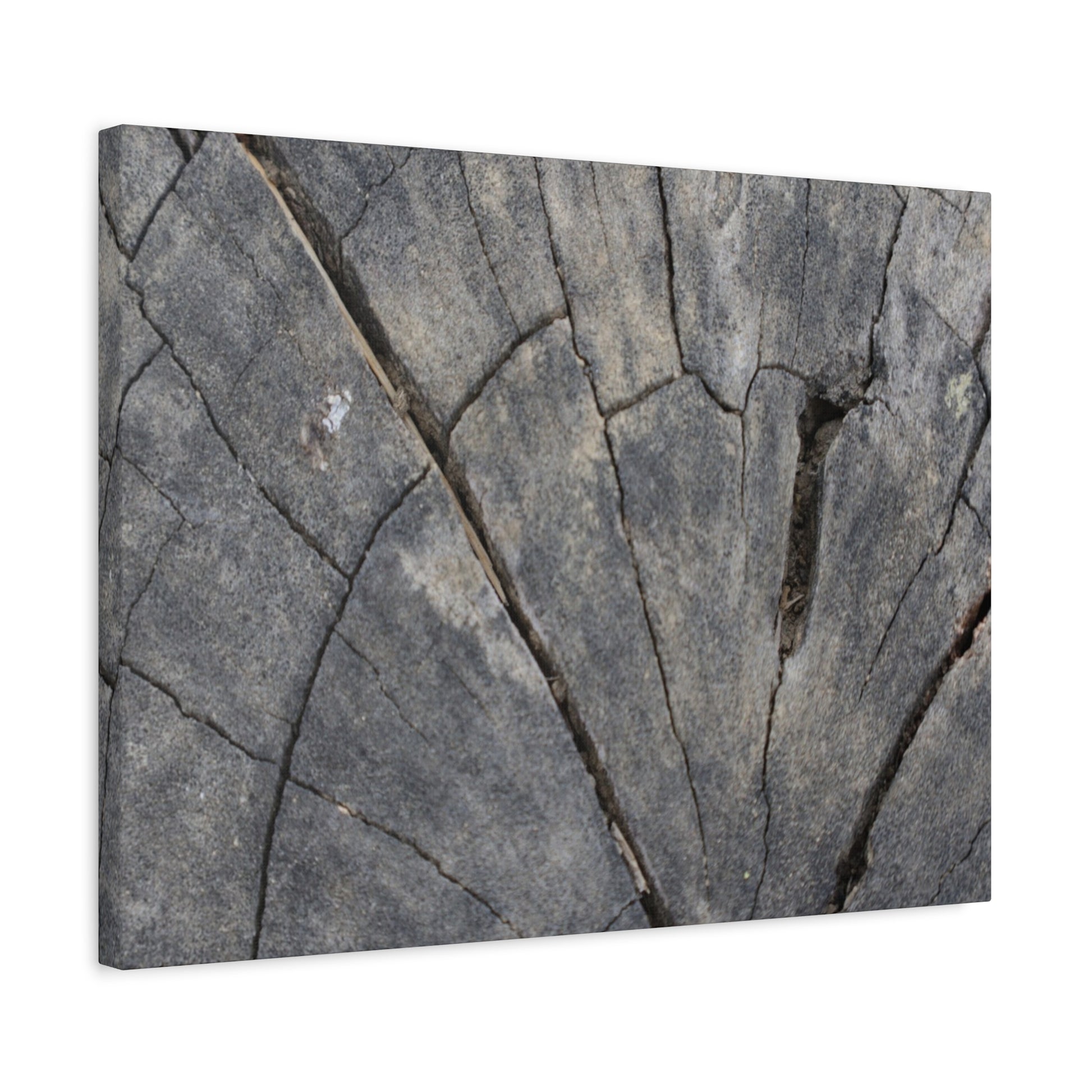 Geological Mosaic - Unique Frameless Canvas Wall Art - Art By Earth