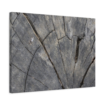 Geological Mosaic - Unique Frameless Canvas Wall Art - Art By Earth