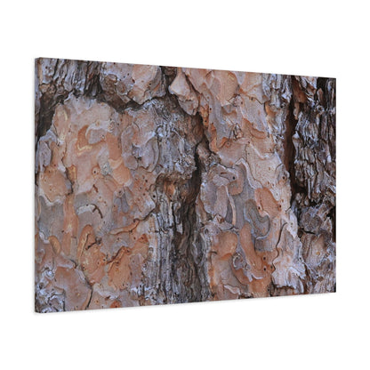 Arboreal Armor - Unique Frameless Canvas Wall Art - Art By Earth