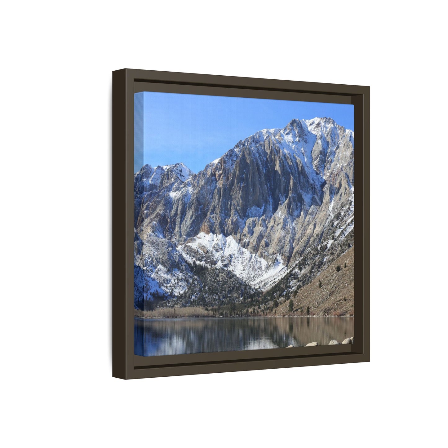 Frozen Reflection - Unique Stretched Canvas Wall Art