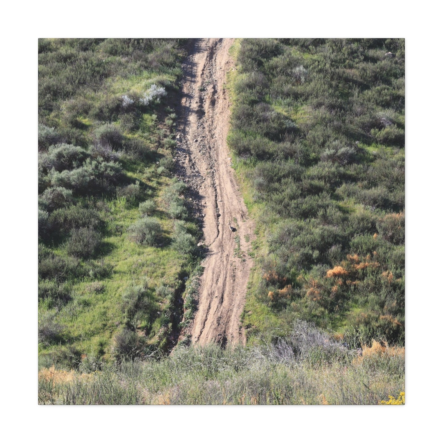 Straight Road Cutting Through Wilderness - Unique Frameless Canvas Wall Art - Art By Earth