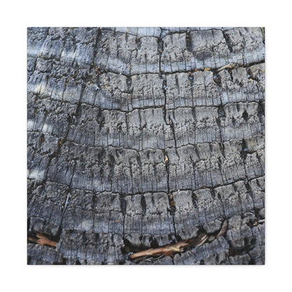 Whispers of Age - Unique Frameless Canvas Wall Art - Art By Earth