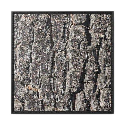 Bark Study in Gray - Unique Stretched Canvas Wall Art - Art By Earth