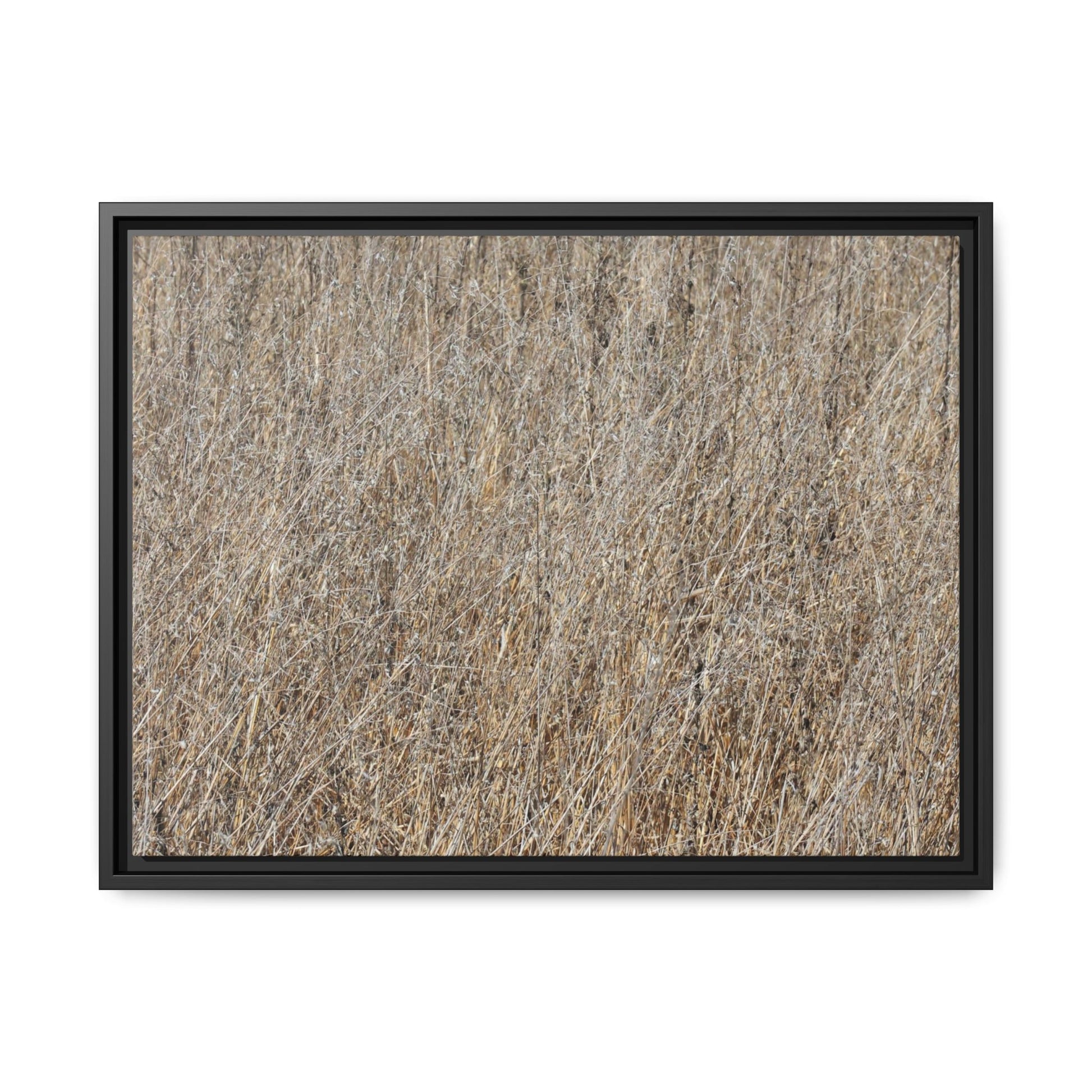 Dry Straw Symphony - Unique Stretched Canvas Wall Art - Art By Earth