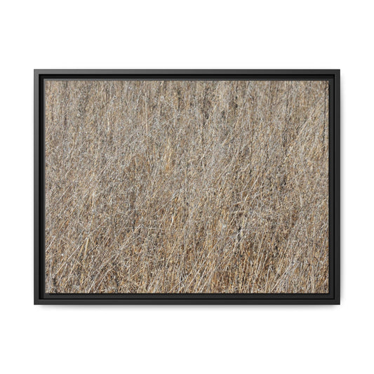 Dry Straw Symphony - Unique Stretched Canvas Wall Art - Art By Earth