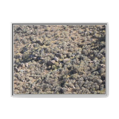 Arid Terrain Study - Unique Stretched Canvas Wall Art - Art By Earth