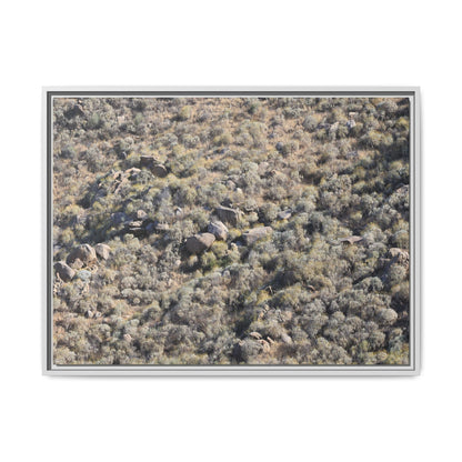 Arid Terrain Study - Unique Stretched Canvas Wall Art - Art By Earth