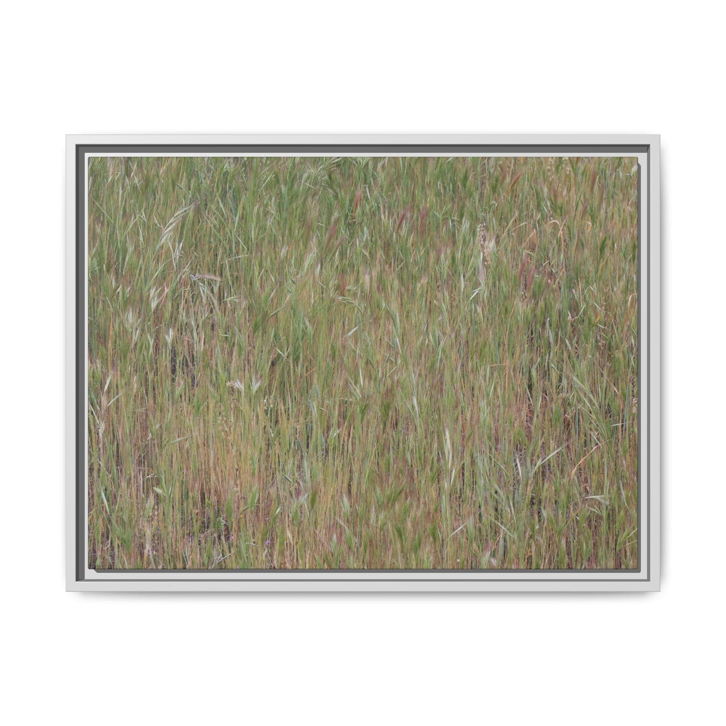 Field of Dreams - Unique Stretched Canvas Wall Art - Art By Earth