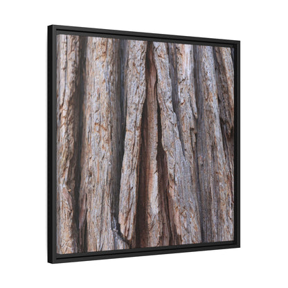 Nature's Sculpture - Unique Stretched Canvas Wall Art - Art By Earth