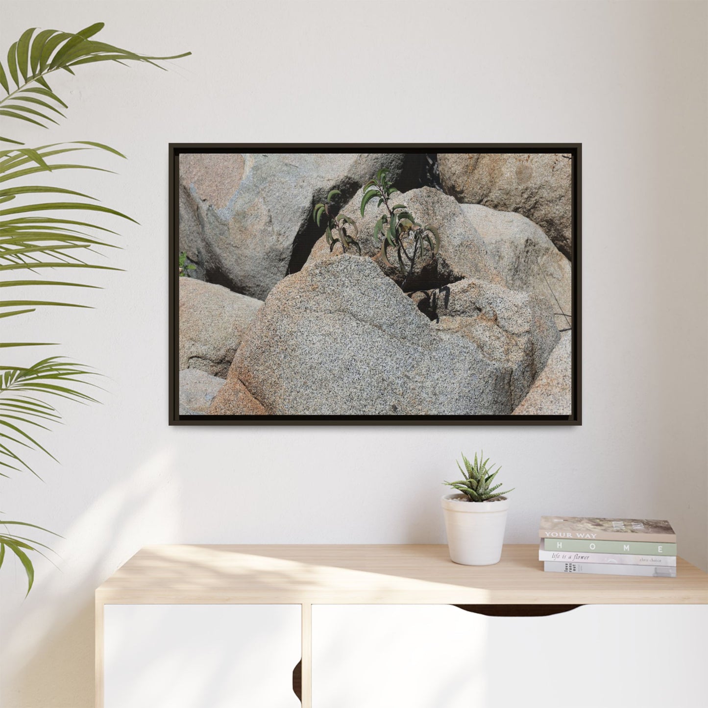 Desert Plant Thriving Among Rocks - Unique Stretched Canvas Wall Art