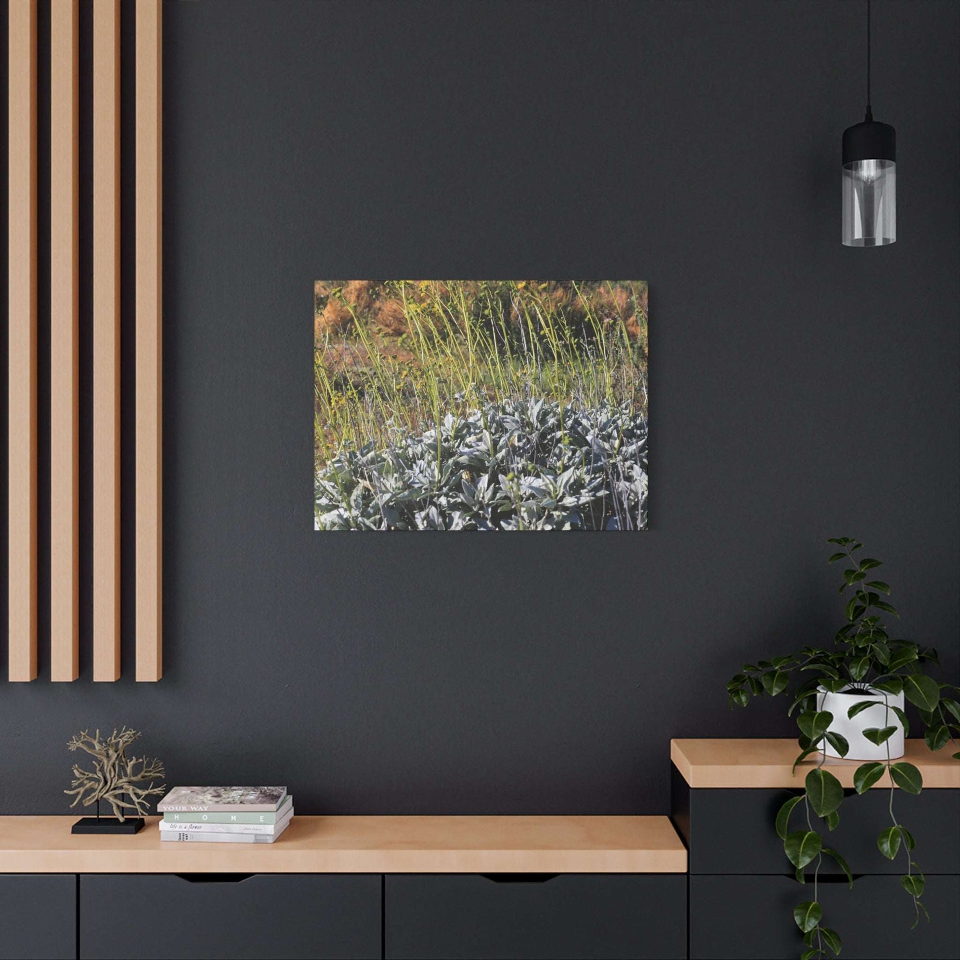 Desert Wildflowers in Bloom - Unique Frameless Canvas Wall Art - Art By Earth