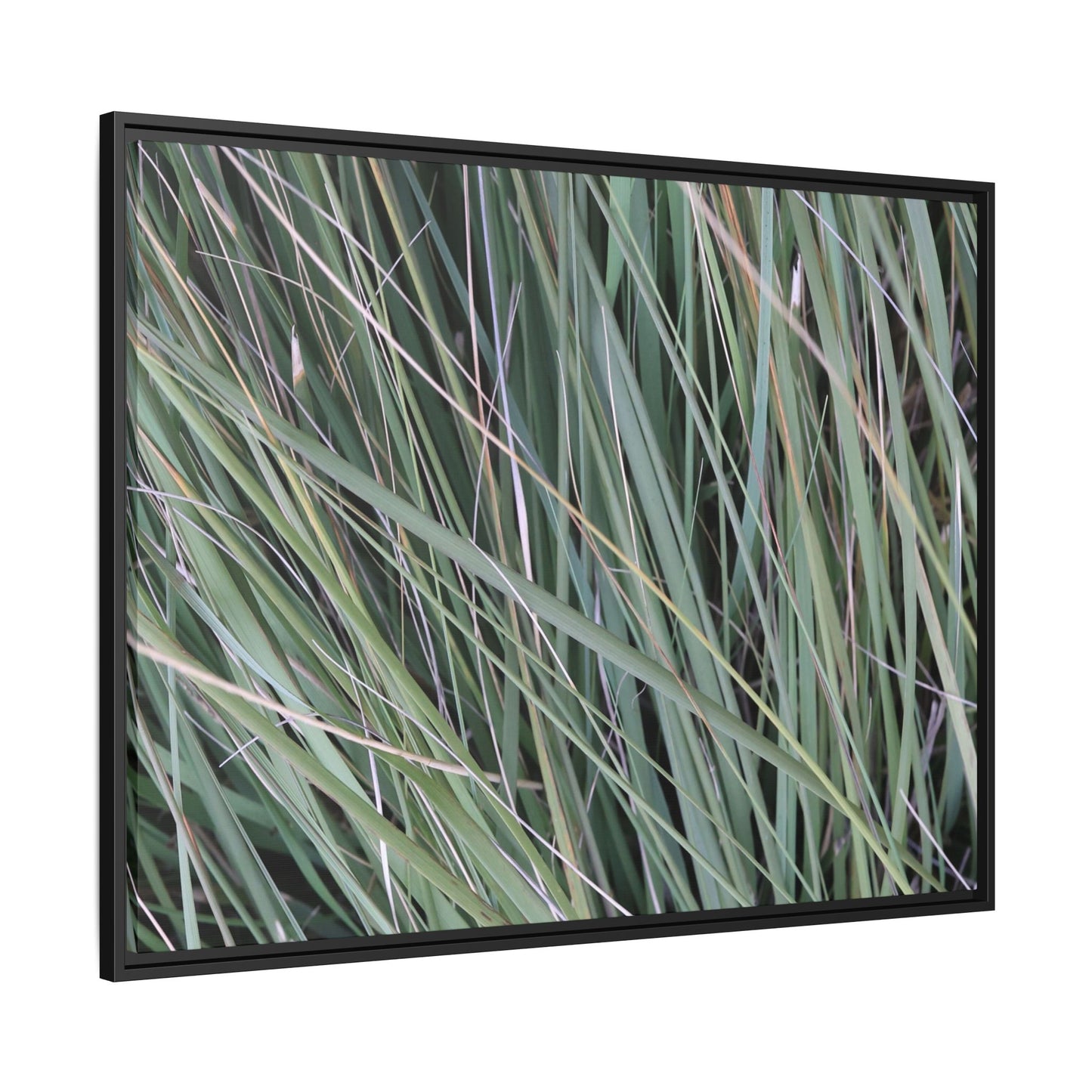 Grassland Symphony - Unique Stretched Canvas Wall Art - Art By Earth