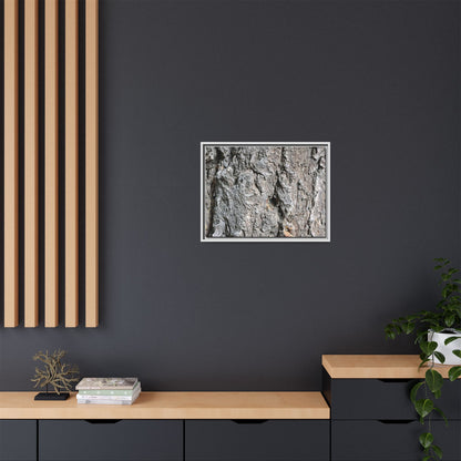 Crusty Exterior - Unique Stretched Canvas Wall Art - Art By Earth