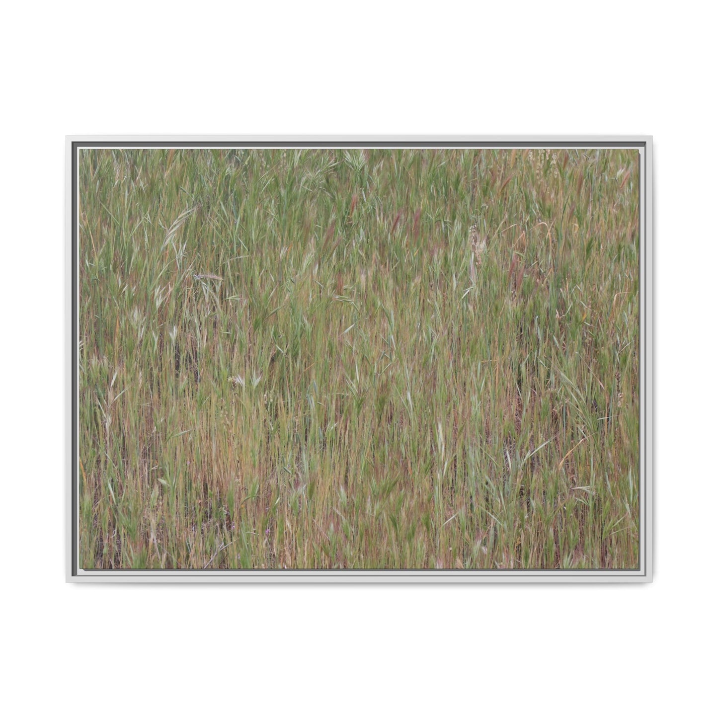 Field of Dreams - Unique Stretched Canvas Wall Art - Art By Earth
