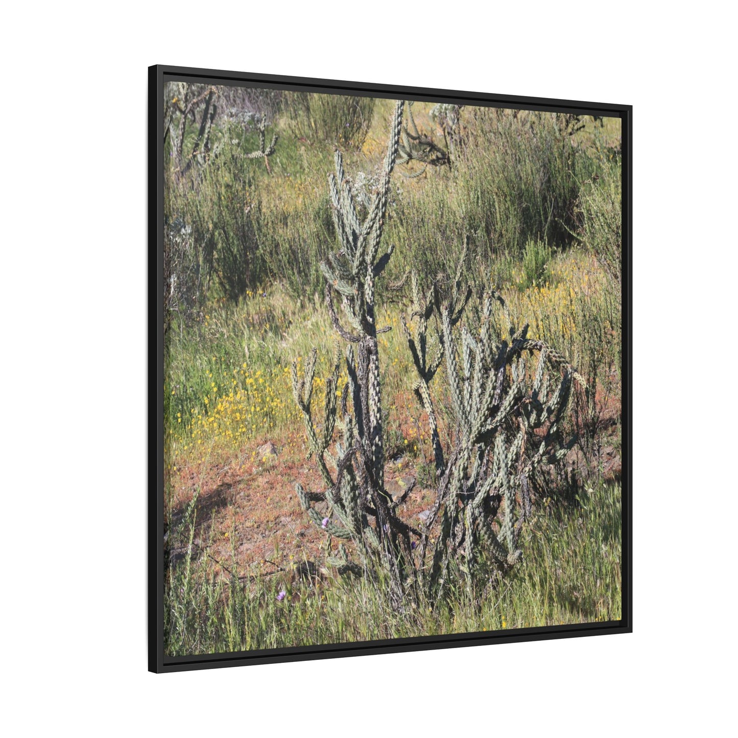 Wildflower Meadow - Unique Stretched Canvas Wall Art - Art By Earth