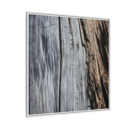 Wood's Lament - Unique Stretched Canvas Wall Art - Art By Earth