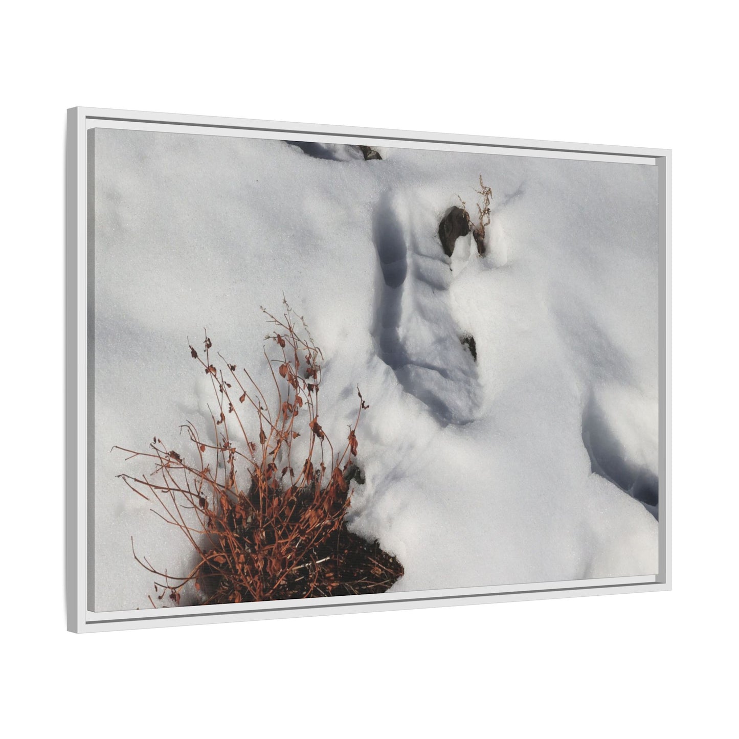 Frostbound Whispers - Unique Stretched Canvas Wall Art