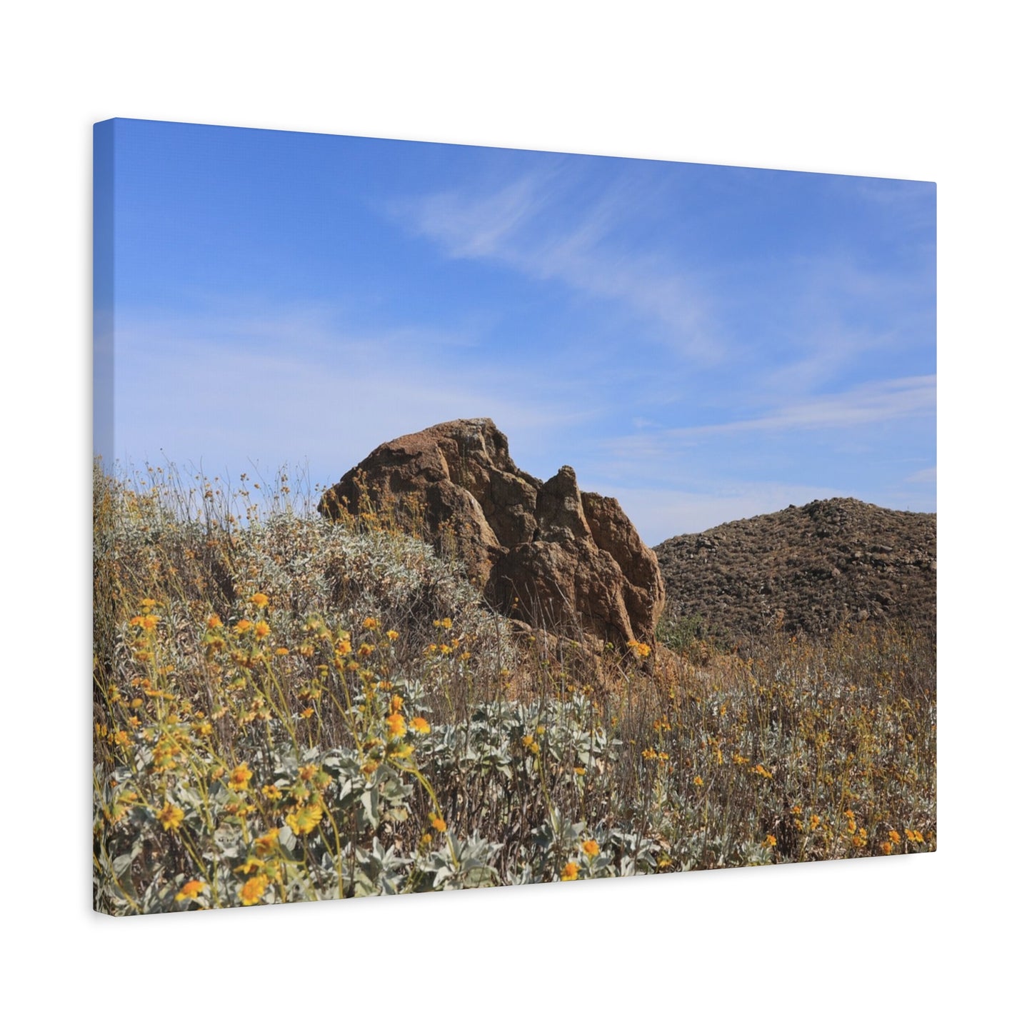 Desert Bloom - Unique Frameless Canvas Wall Art - Art By Earth