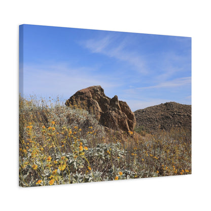 Desert Bloom - Unique Frameless Canvas Wall Art - Art By Earth