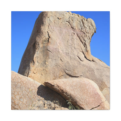 Boulder's Embrace - Unique Frameless Canvas Wall Art - Art By Earth