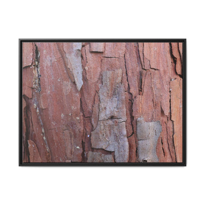 Peeling Bark - Unique Stretched Canvas Wall Art - Art By Earth