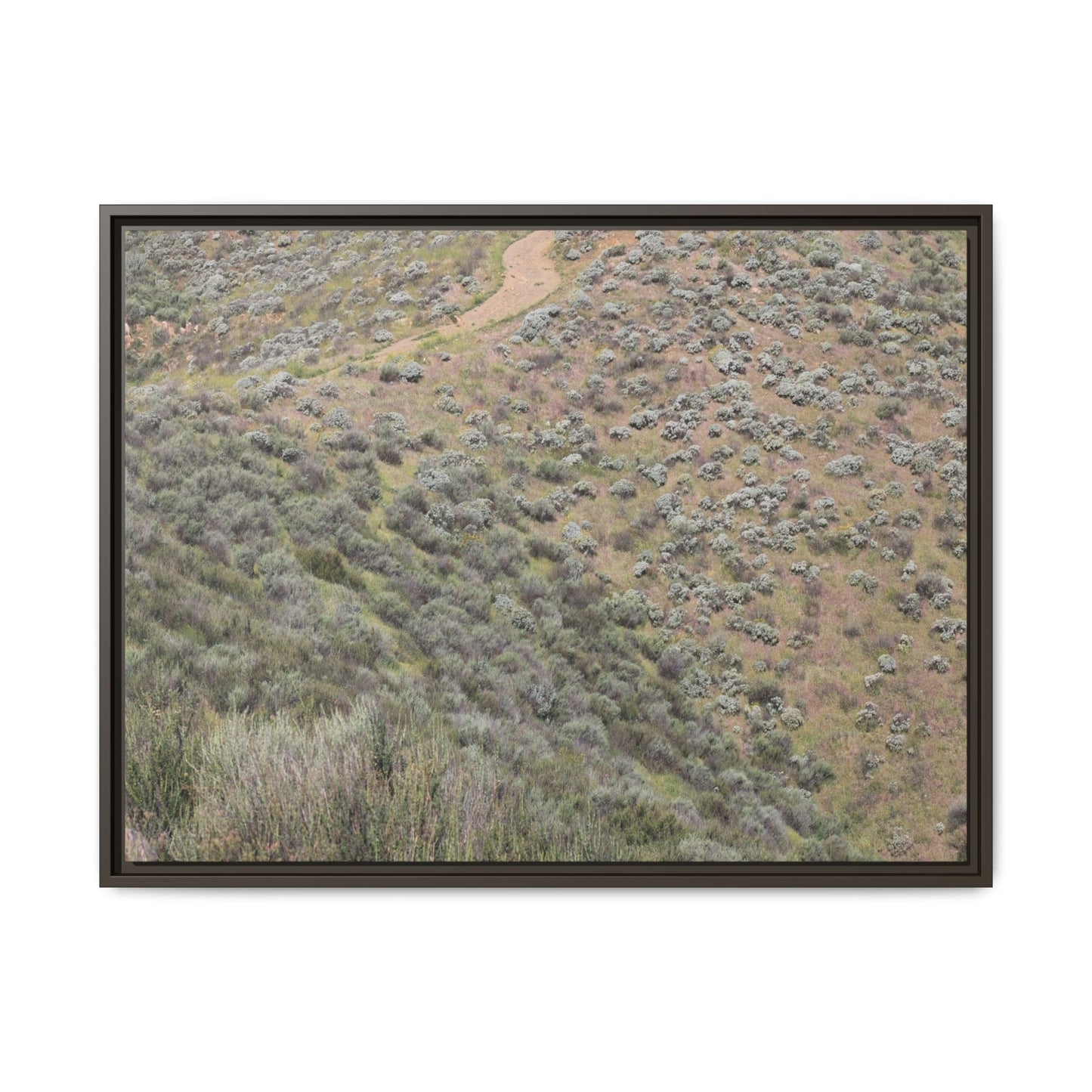 Arid Landscape with Winding Path - Unique Stretched Canvas Wall Art - Art By Earth