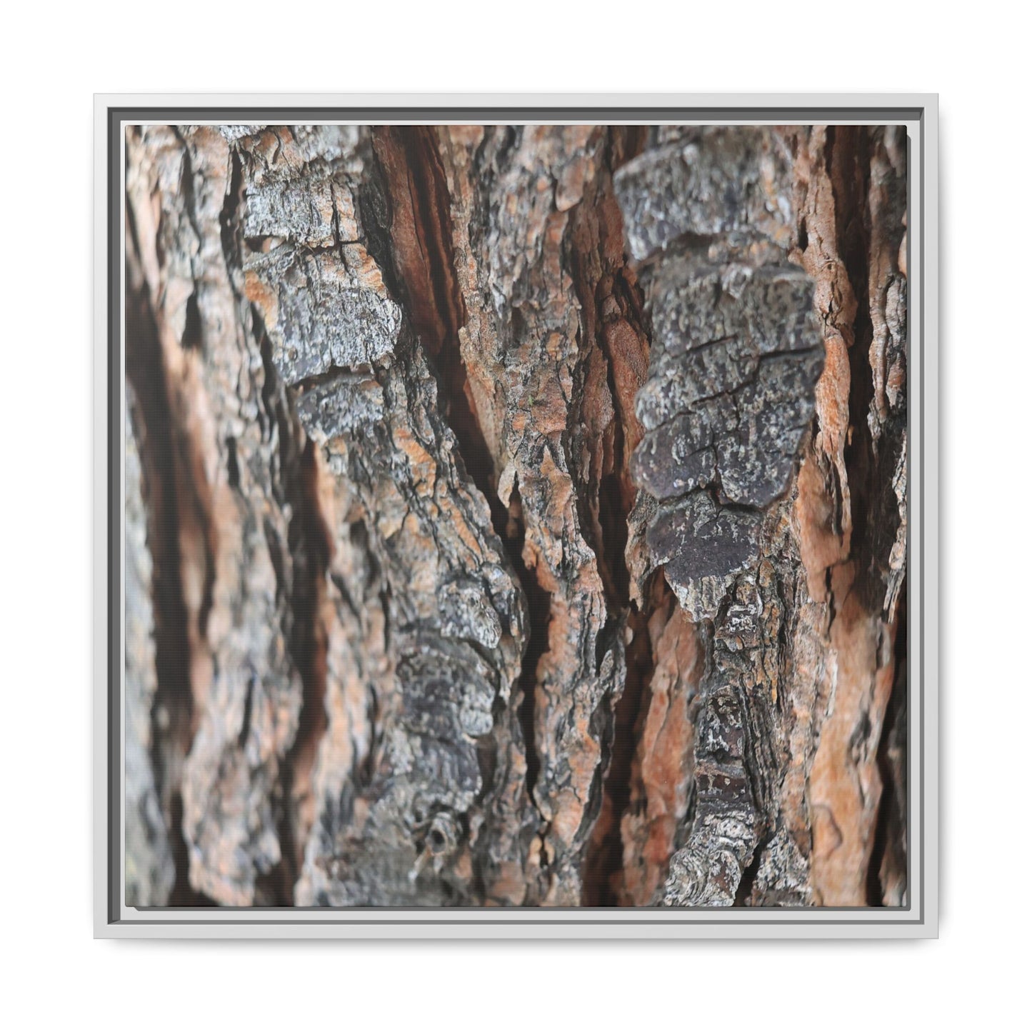 Fractured Nature - Unique Stretched Canvas Wall Art - Art By Earth