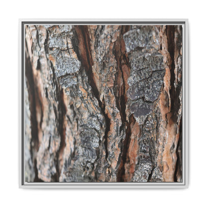 Fractured Nature - Unique Stretched Canvas Wall Art - Art By Earth