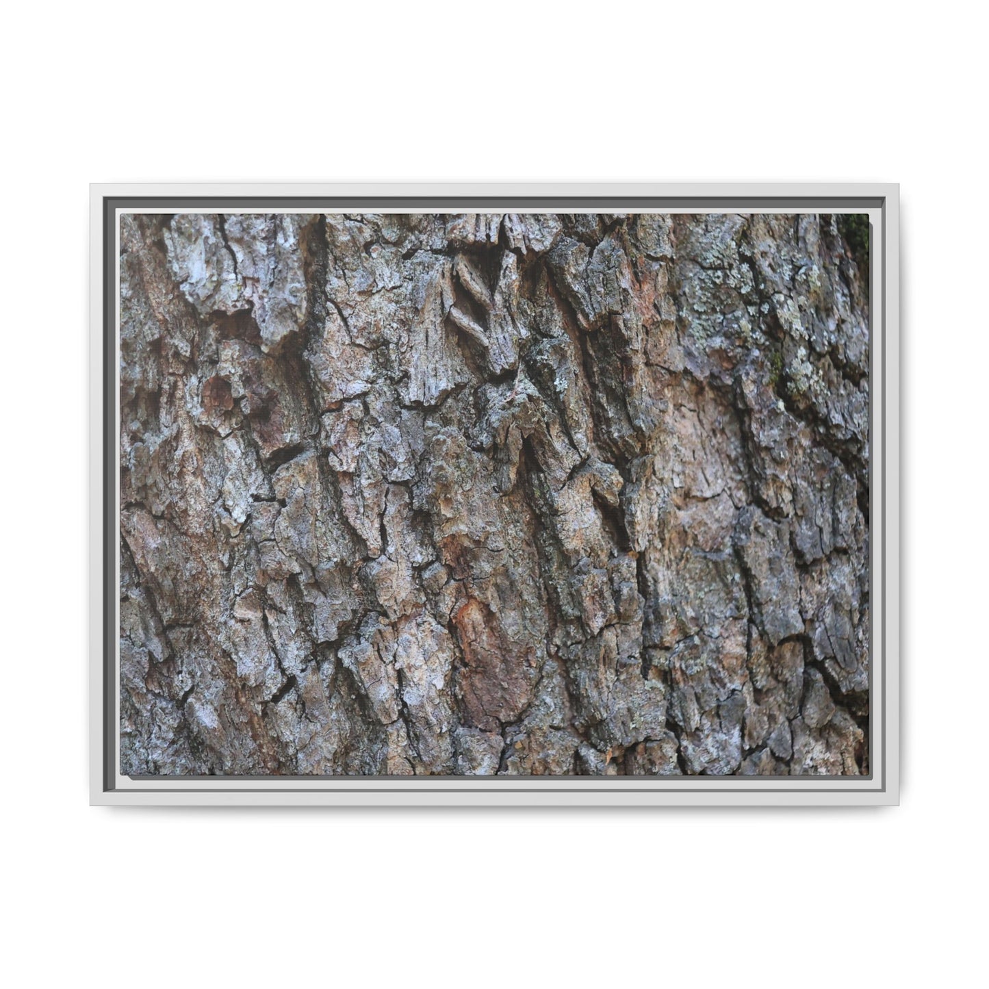 Woodland Skin - Unique Stretched Canvas Wall Art - Art By Earth