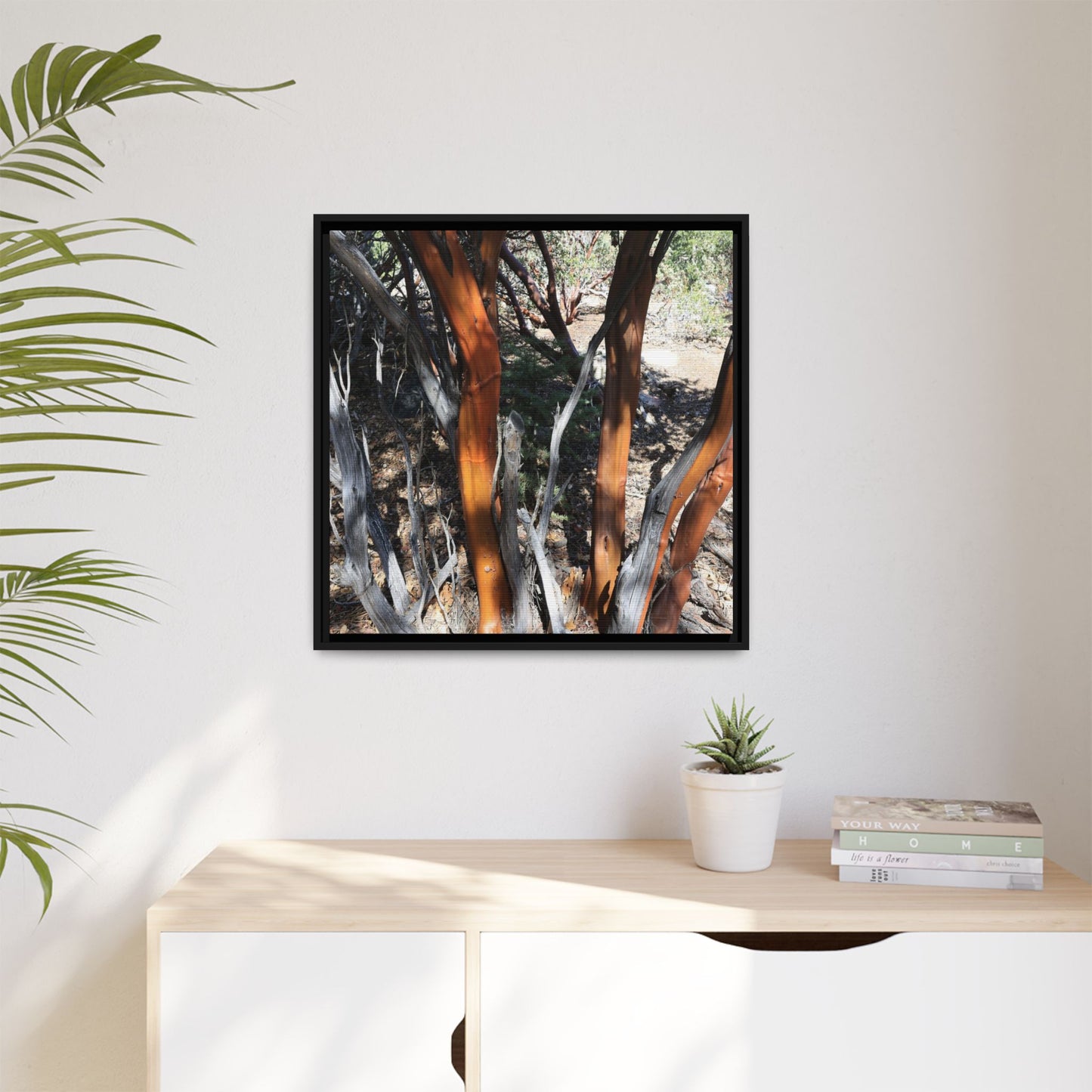 Eucalyptus Grove - Unique Stretched Canvas Wall Art