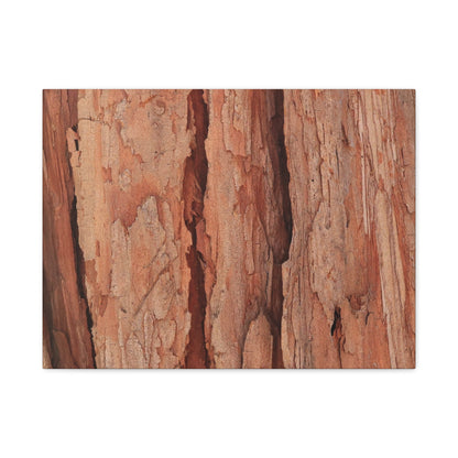 Bark Layers of Time - Unique Frameless Canvas Wall Art - Art By Earth